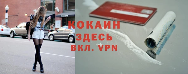 PSILOCYBIN Верхний Тагил